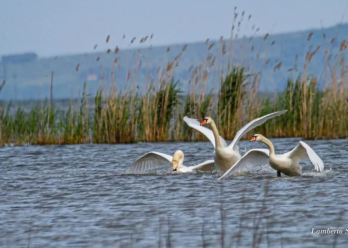 公寓 Casa Barbara SantʼArcangelo